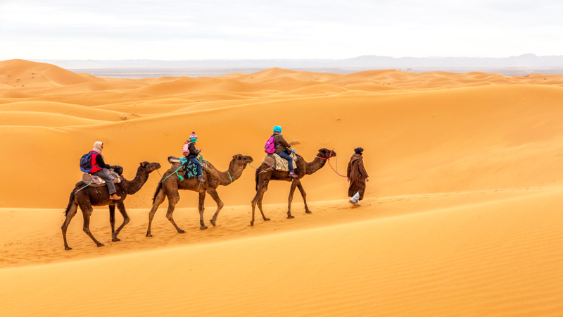 8 Days Trip From Fes To Marrakech Via Sahara Camel Ride
